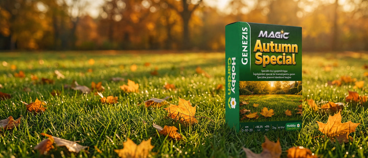 Magic Autumn Special őszi gyepműtrágya lehullott levelek között az őszi gyepen